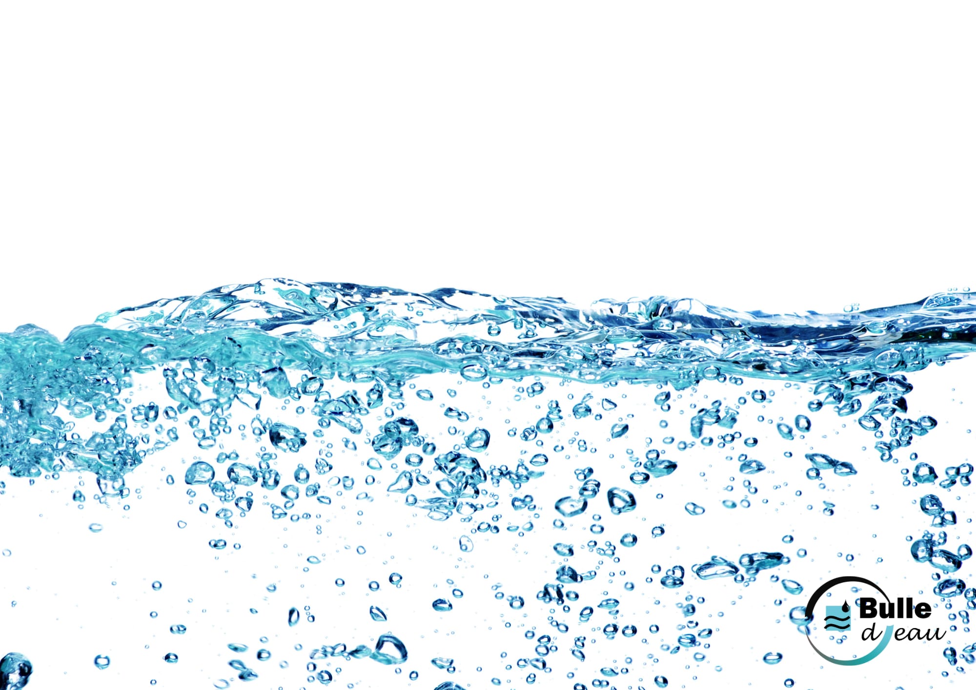 Photo header de la section